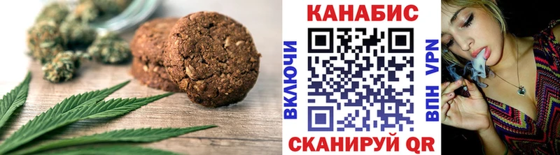 закладка Инза OMG онион Cannafood конопля
