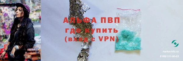 spice Вяземский